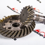 Главная пара DANA