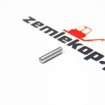 2109810 Игла подшипника DANA