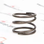 K9001592 Пружина