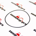 4209496 Кольцо DANA 745851