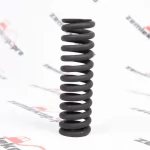 0732042890 Пружина ZF K9001558