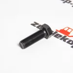 0636016151 Болт ZF 1.120-00134