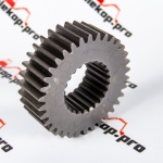 Dana Шестерня