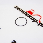 4208228 Кольцо DANA 4208228