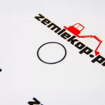 4208228 Кольцо DANA 4208228