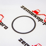 4209408 Шайба регулировочная DANA 4209408