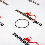 4208583 Кольцо DANA 4208583