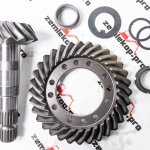 65596 Главная пара