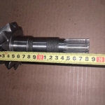 66686 Главная пара