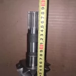 66686 Главная пара