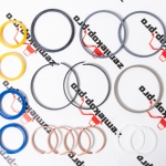 49080 Набор сальников