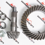 64884 Главная пара