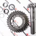 68473 Главная пара