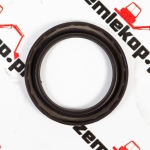 25541 Сальник