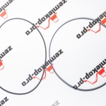 140946 Комплект (О-кольцо + Кольцо)