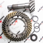 68911 Главная пара