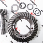 66677 Главная пара