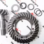 66677 Главная пара