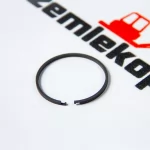 4203872 Кольцо DANA 9969070