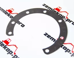 250124 Прокладка DANA