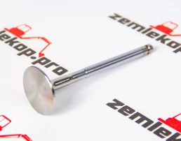 3142A151 Kлапан KMP (по 1 шт.)