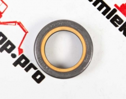 116722 Сальник