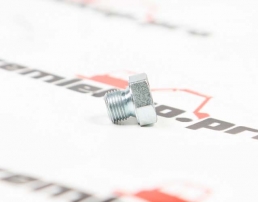 21322 Болт-пробка