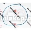 0634303427 О-кольцо ZF