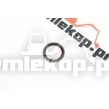 400602-00598 ZF Кольцо + О-кольцо 0501320897, ZGAQ-03980
