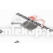 28294 Иголки подшипника (комплект из 10 иголок)