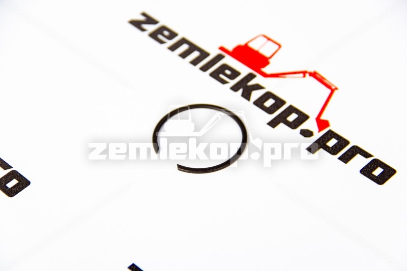 002.06.0784 Кольцо