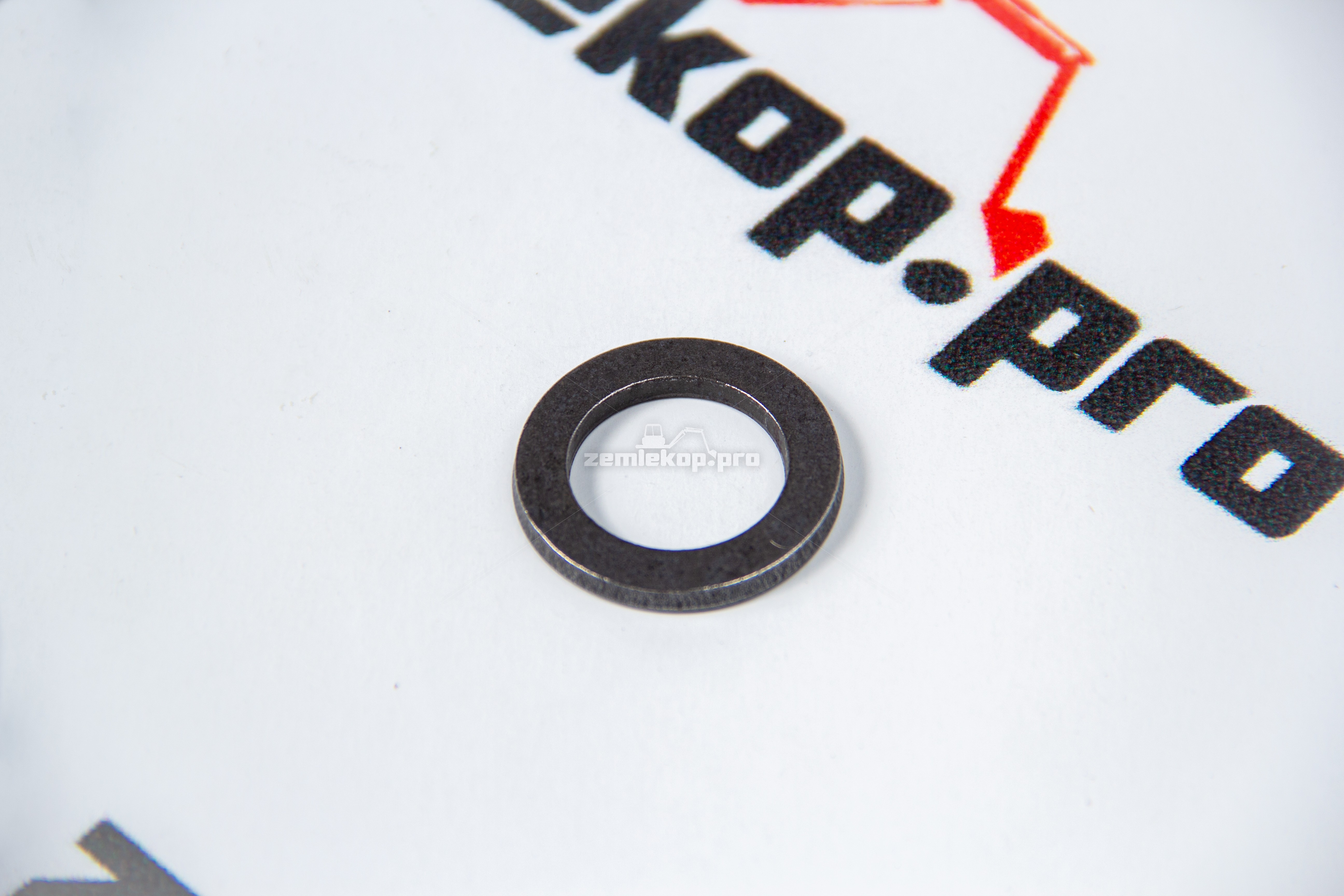 111656 Шайба DANA