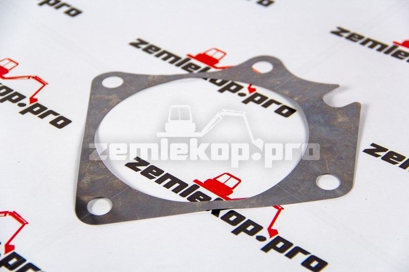 218739CH Прокладка DANA