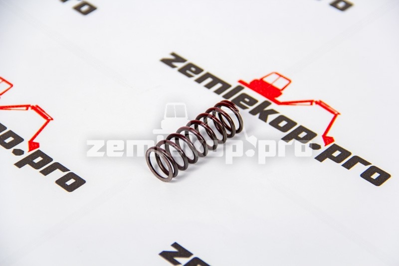 241662 Пружина DANA