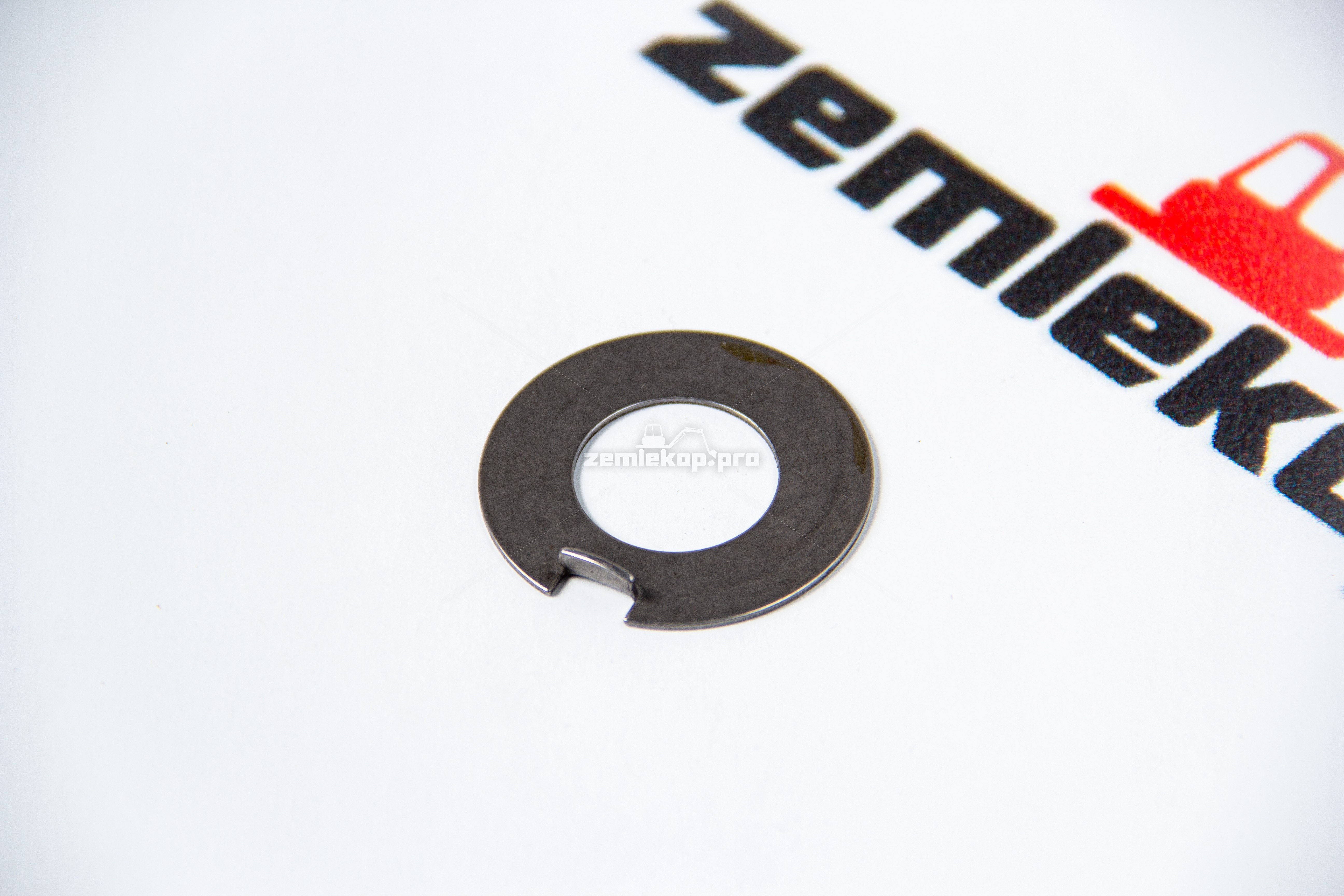 738.06.009.02 Шайба DANA