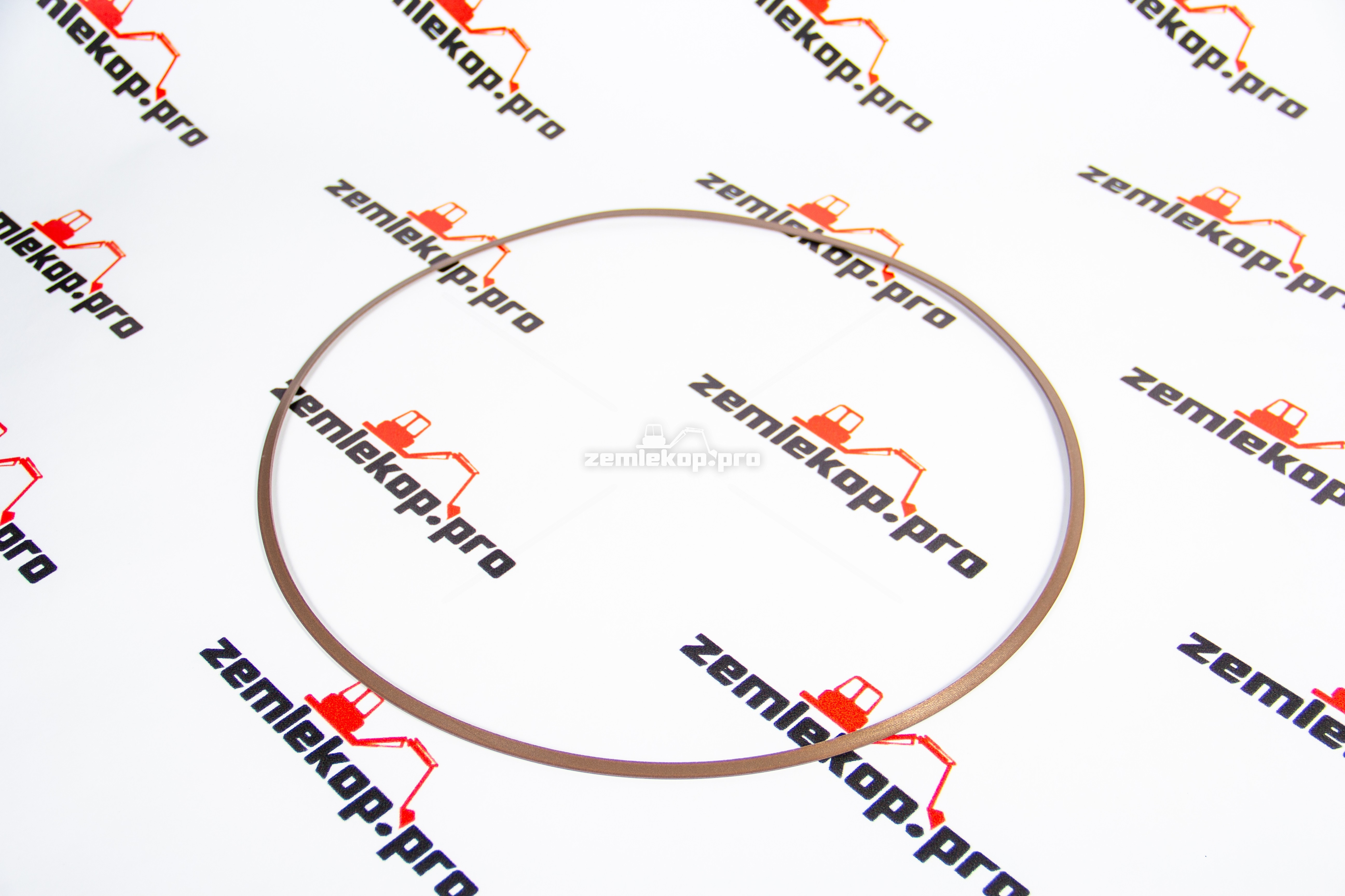 0501335109 Кольцо поддерживающее ZF;50MP-T043