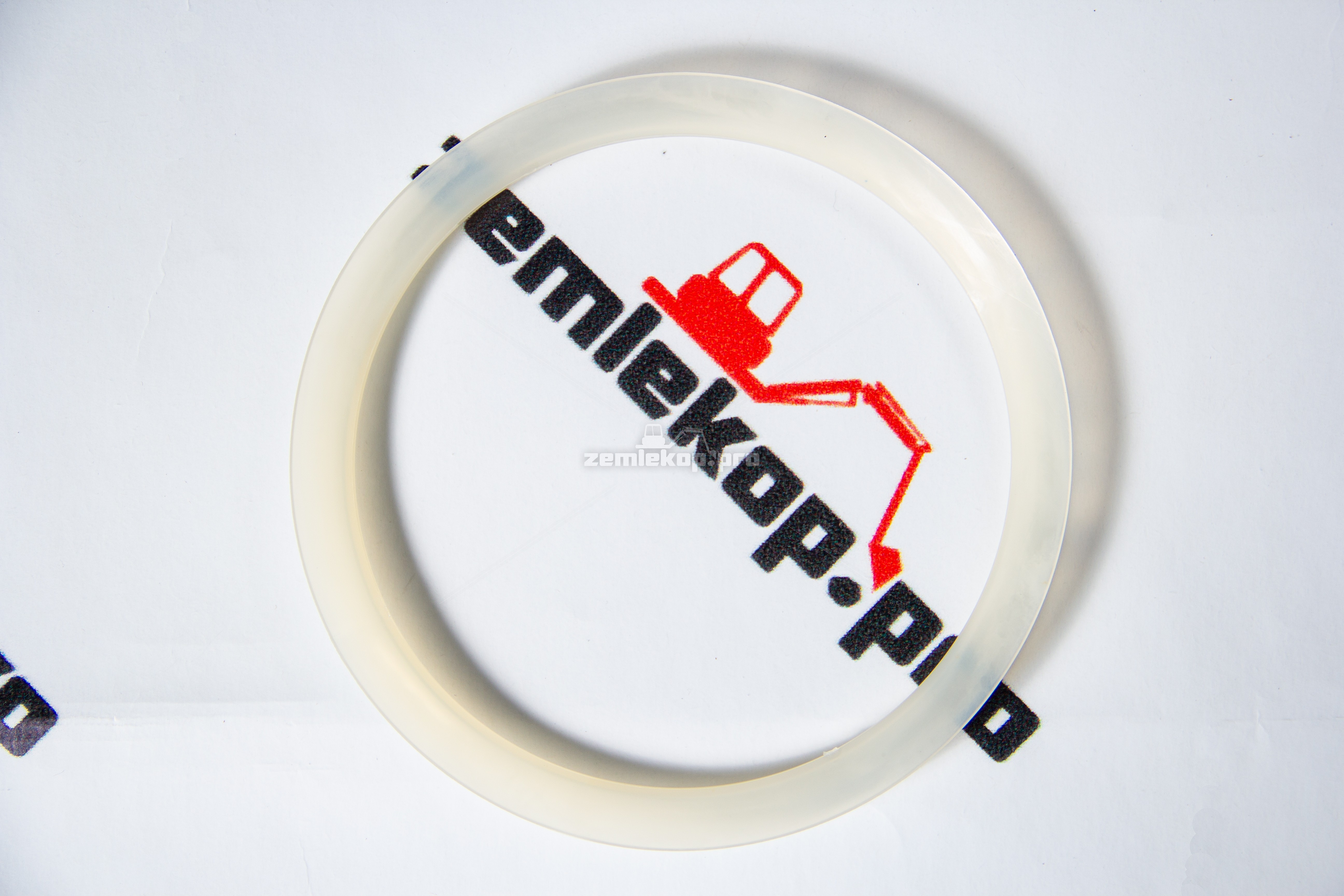 720.25.010.02 Сальник DANA