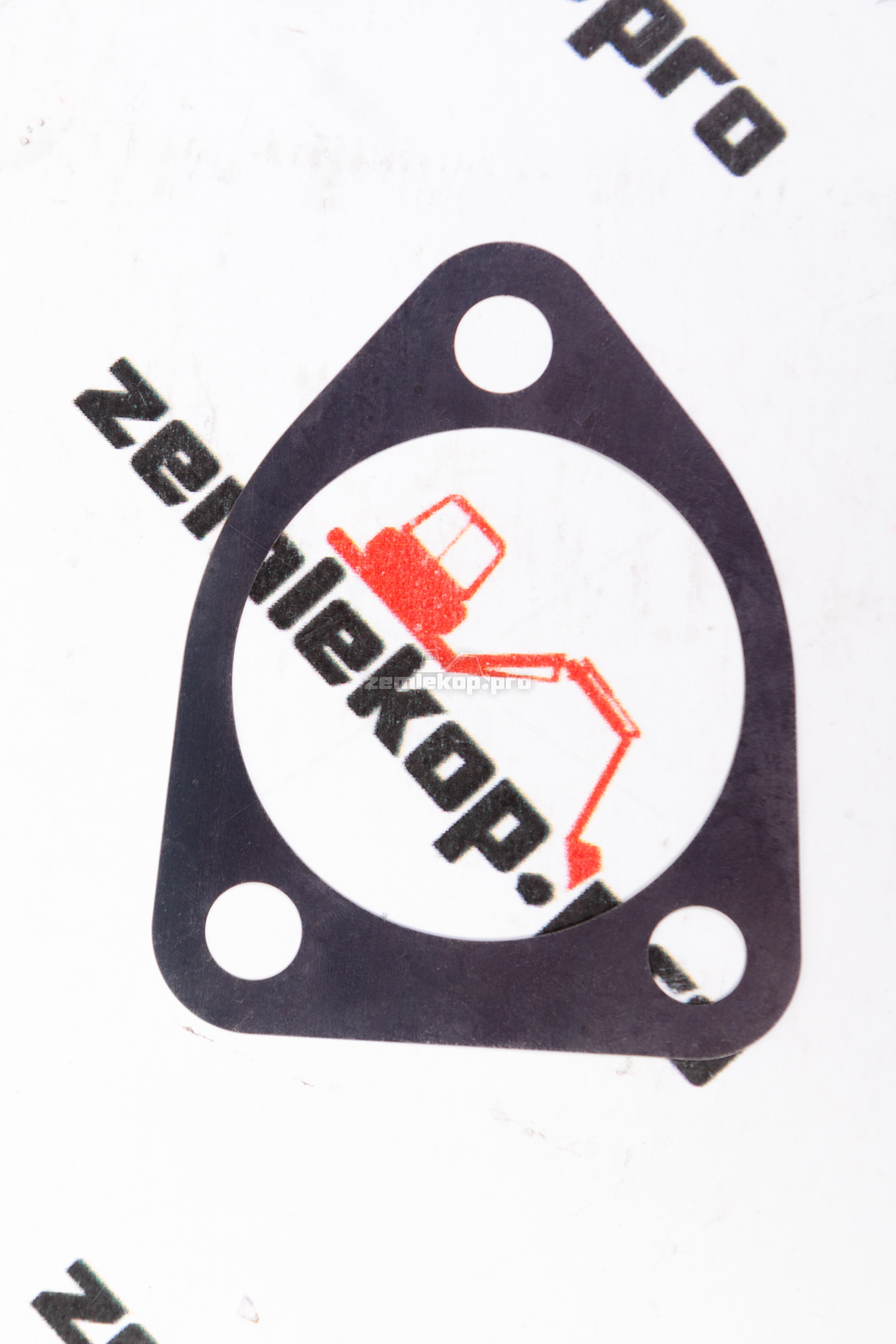 730.06.080.02 Прокладка DANA