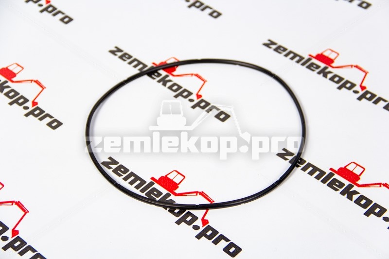 123.07.021.01 О-кольцо DANA