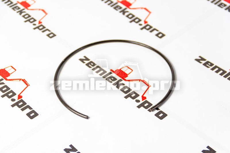 111.06.019.01 Стопорное кольцо DANA