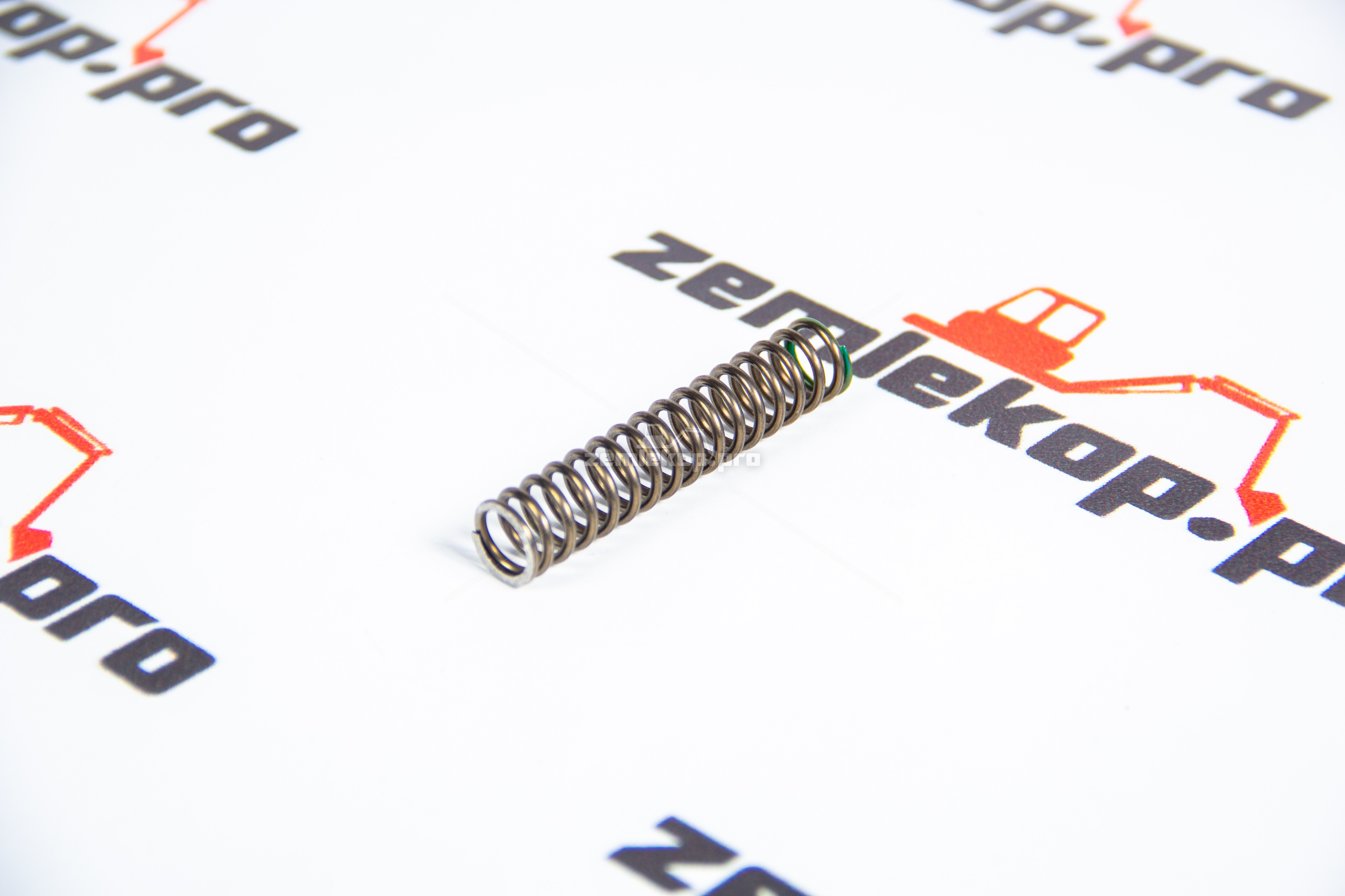 246594 Пружина DANA