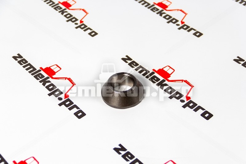 211.06.031.02 Кольцо DANA