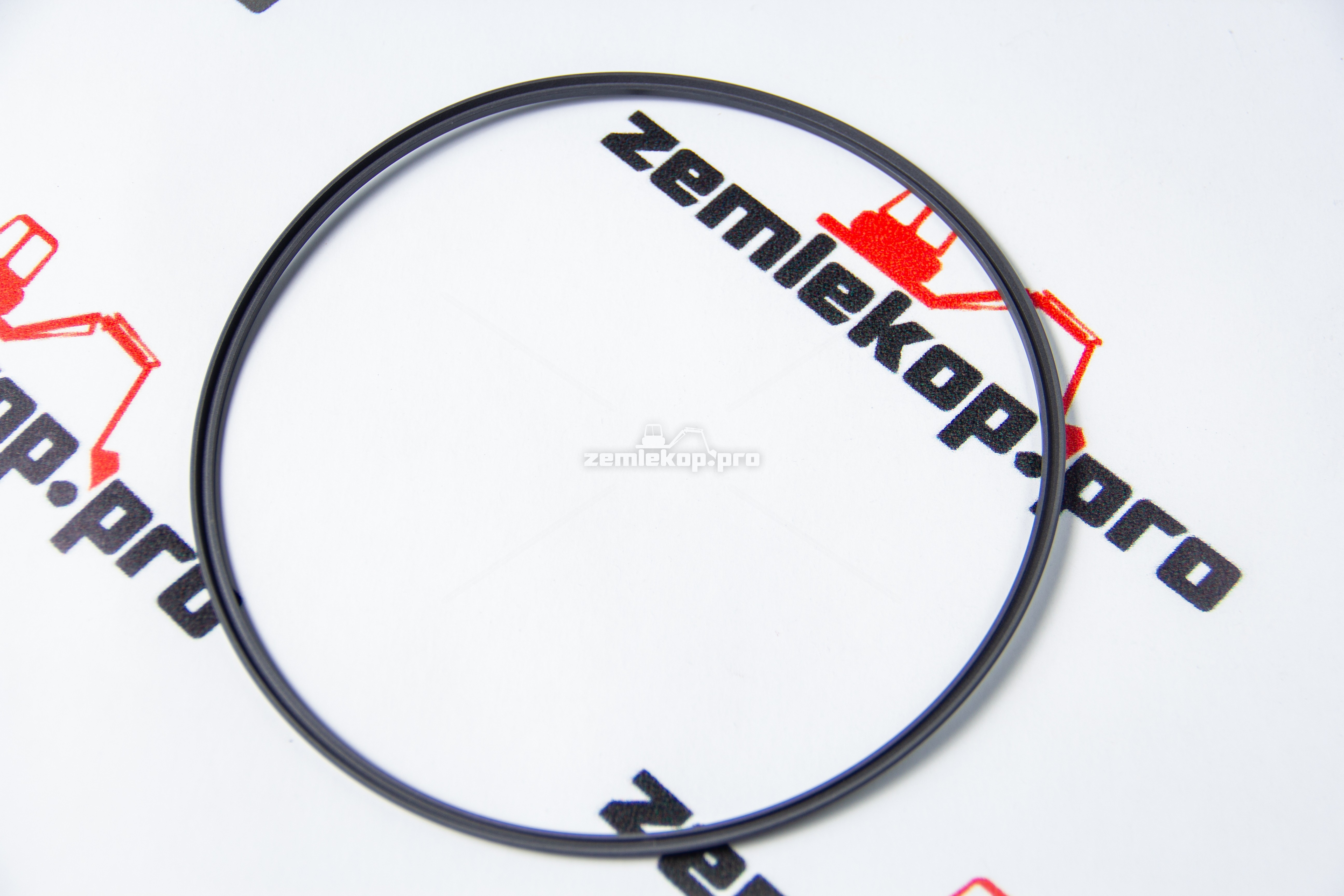 4207417 Уплотнительное кольцо DANA