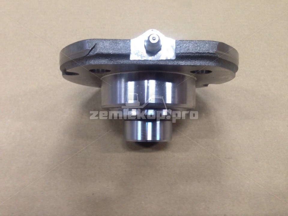 212.06.700.11 Шкворень DANA