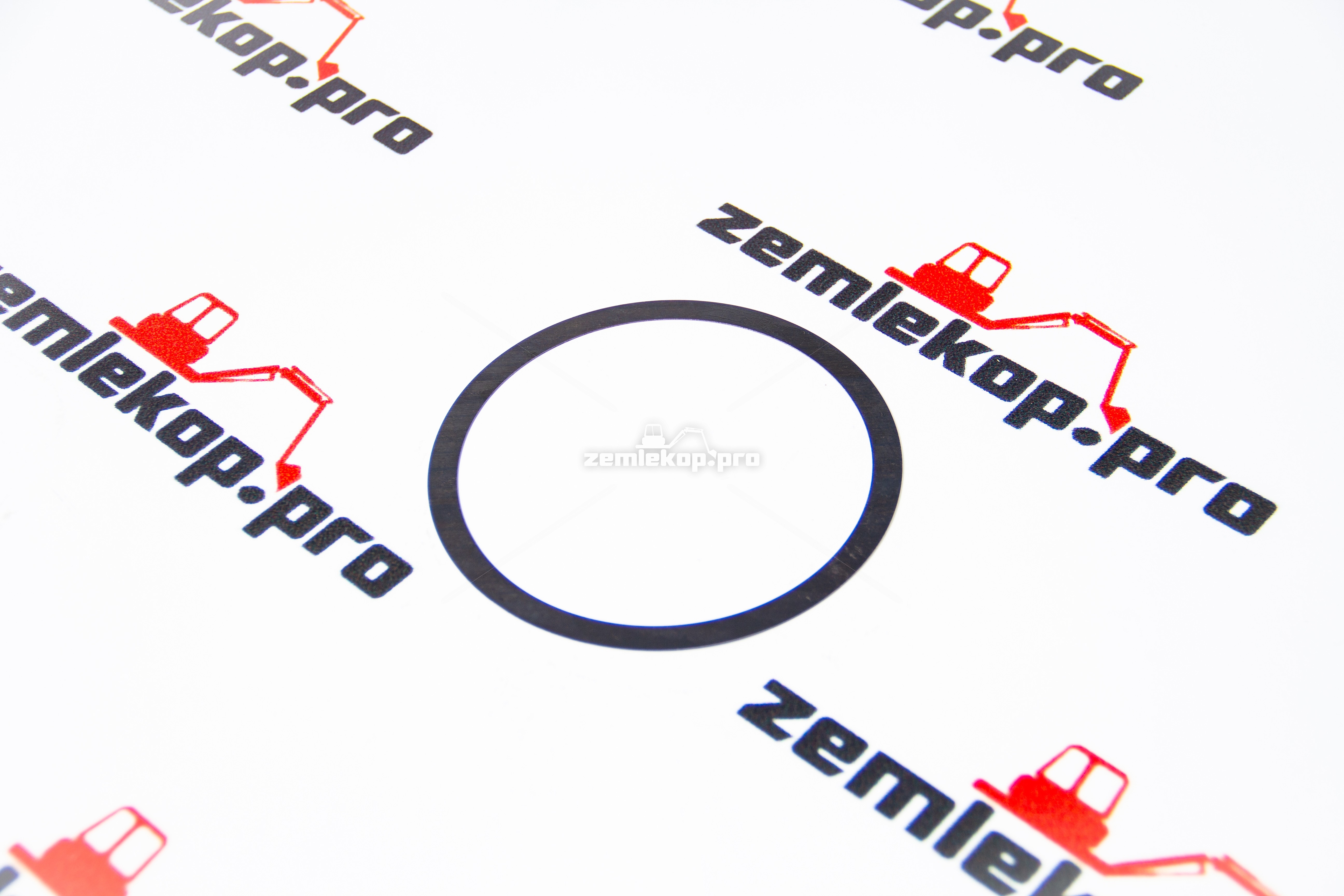 013.01.4818 Шайба DANA