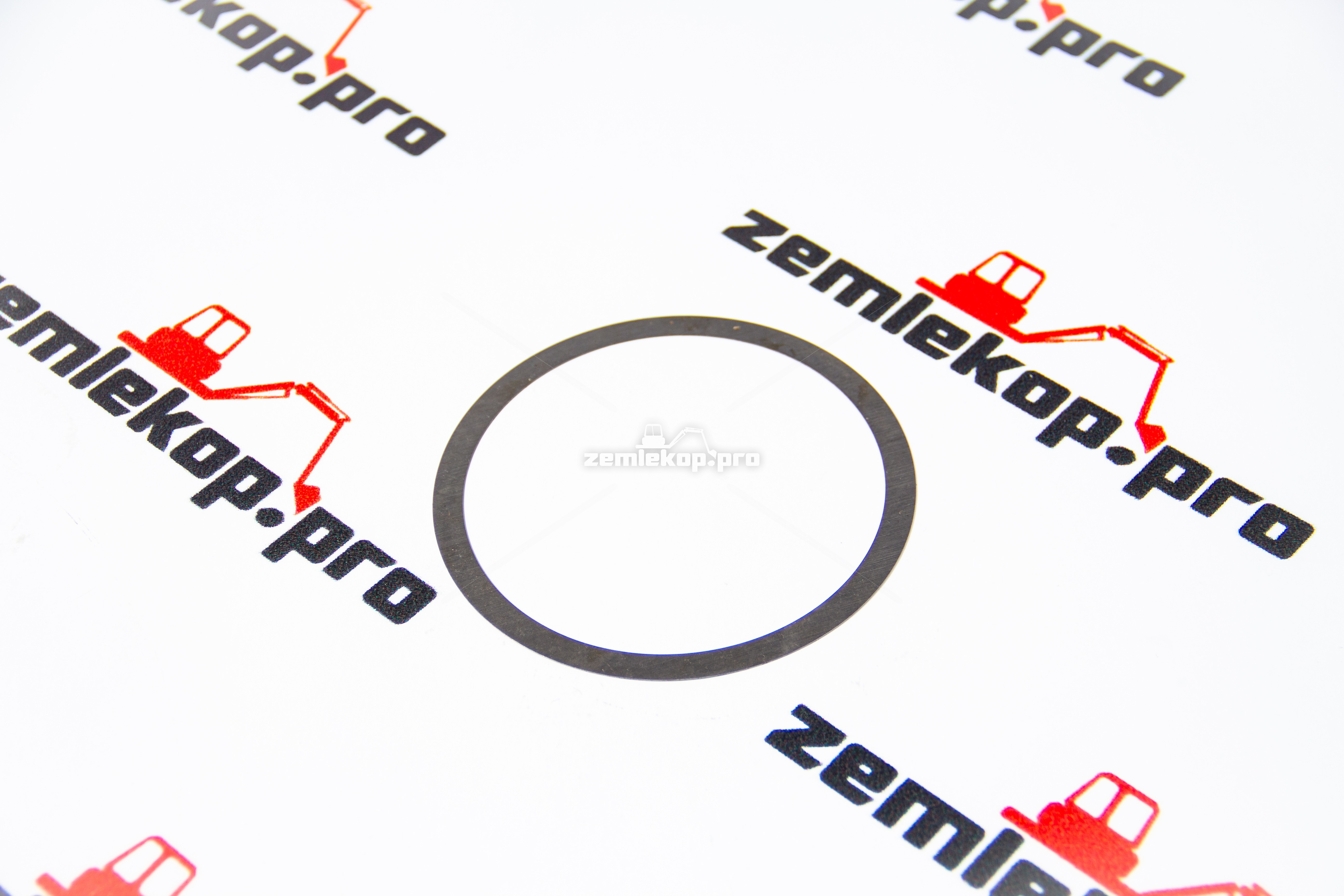 013.01.4819 Шайба DANA