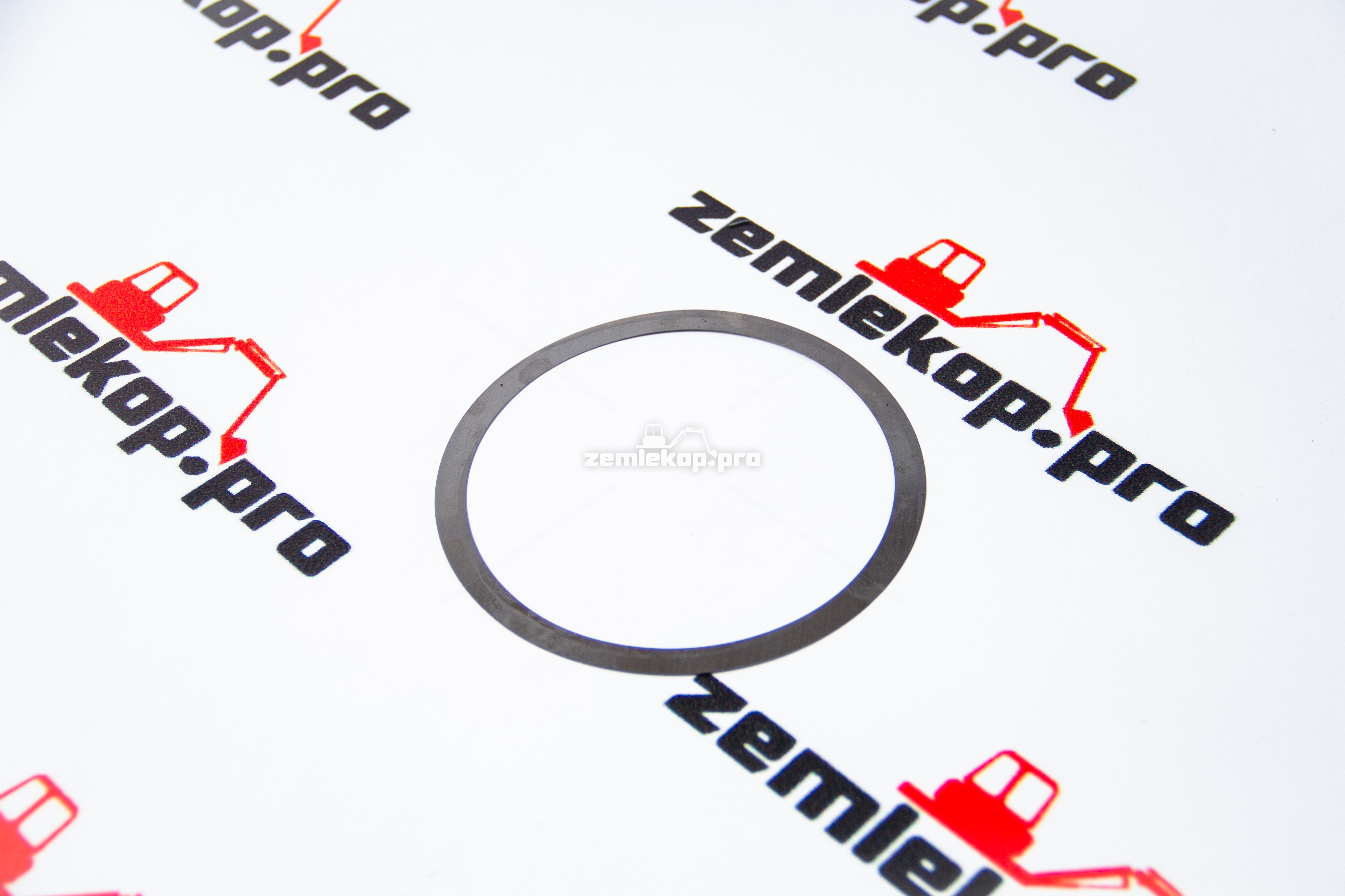 013.01.4817 Шайба DANA