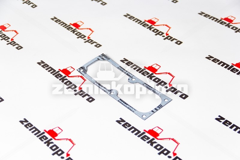 4205790 Прокладка DANA