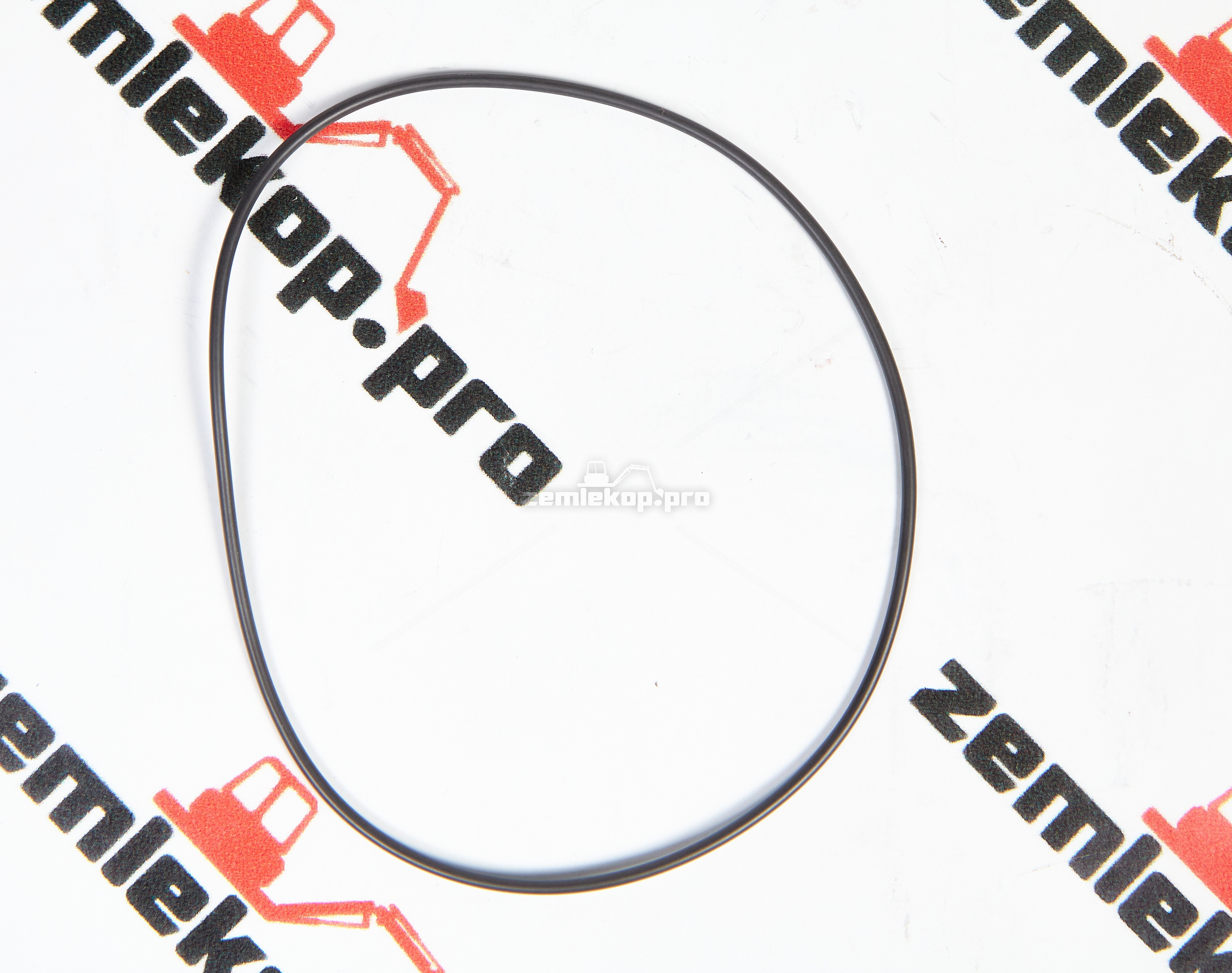 0634313466 О-Кольцо ZF