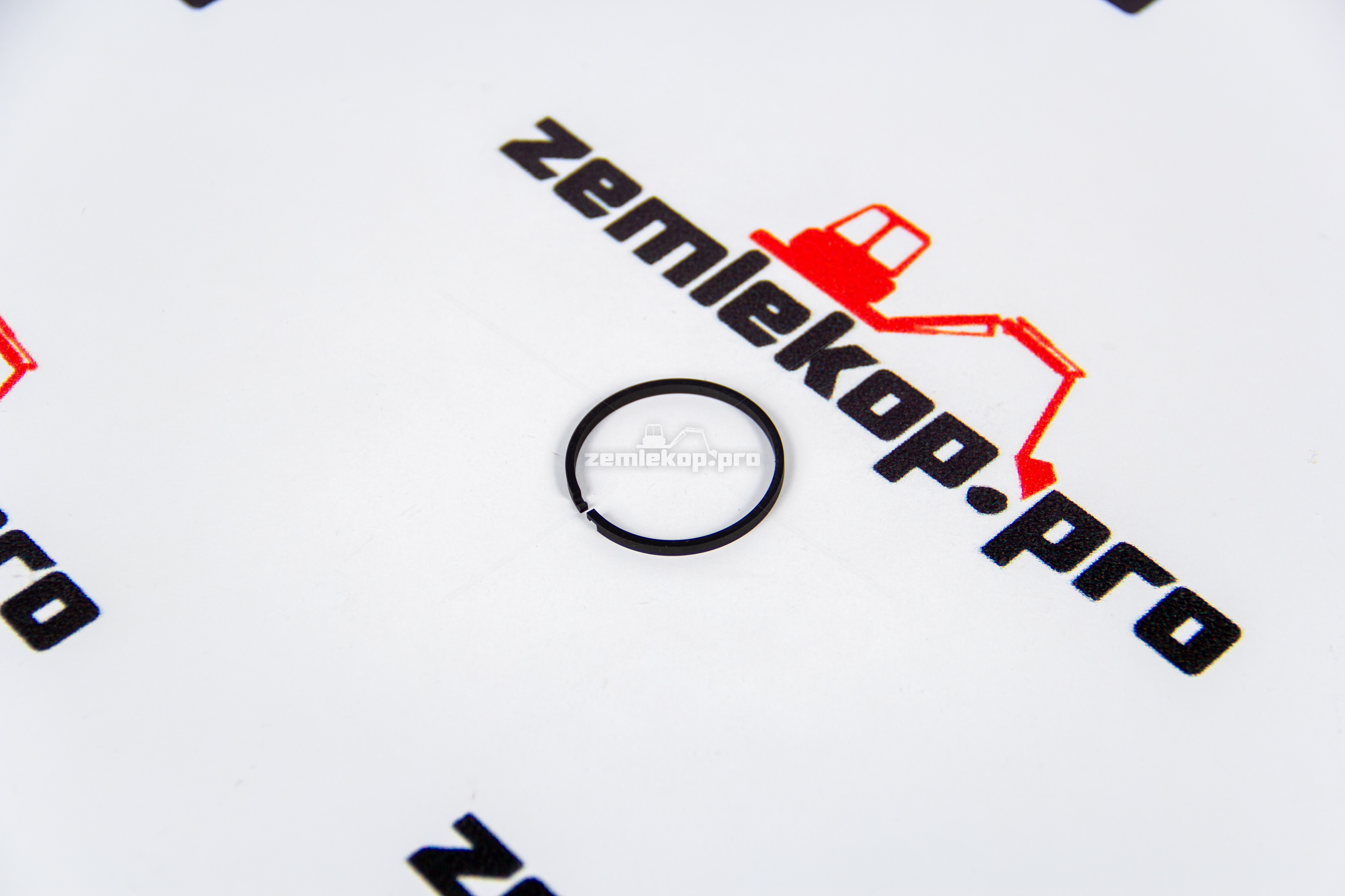 8100397 Кольцо DANA 250217